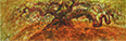 Elm #7