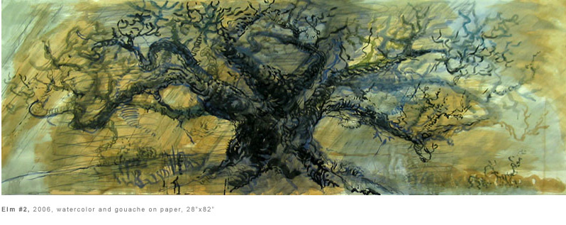 Elm #2