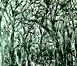 Forest 2