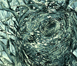 nest